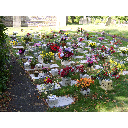 Garden of Rembrance 