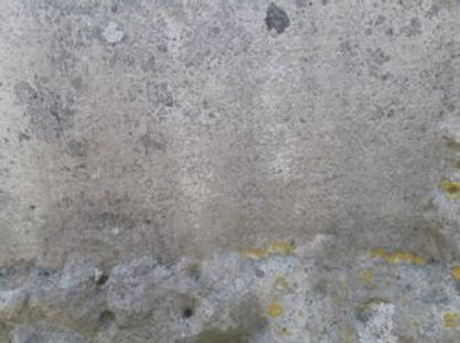 pic3.JPG